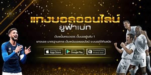 โปรแทงบอล