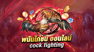 แทงไก่ชนออนไลน์