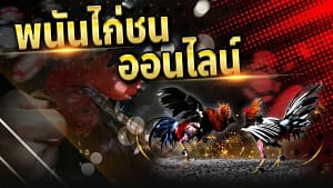 ไก่ชนออนไลน์