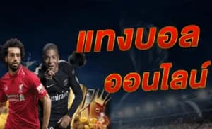 แทงบอล